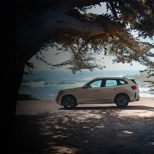 Modern und kraftvoll BMW X3