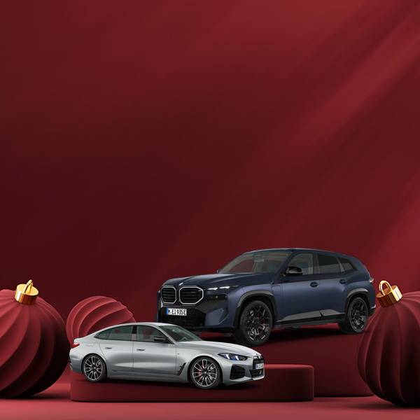 Nur für Binelli Group Mitarbeitende Christmas Sale