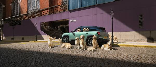 Mehr über den MINI Aceman erfahren