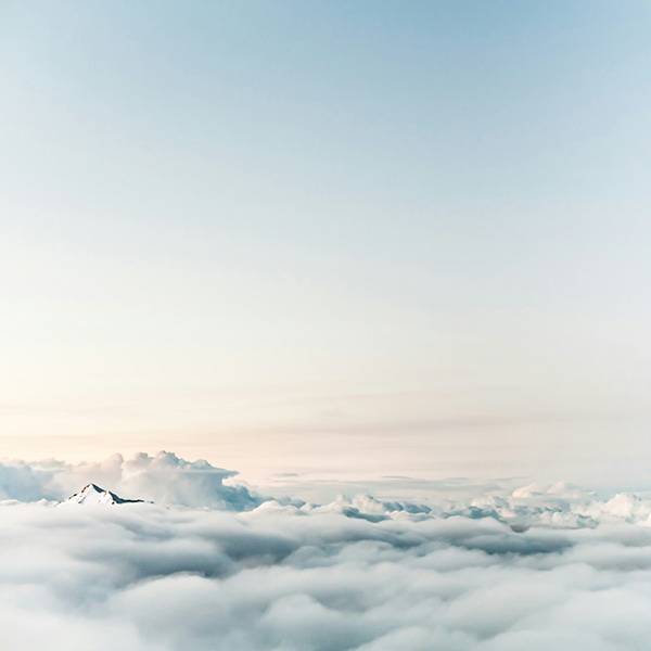 Vorwärts mit Vision