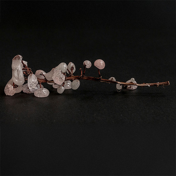 Gravity Glue Flowers 